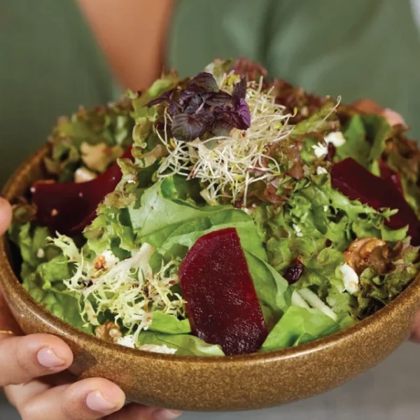 Mixed Green Salad